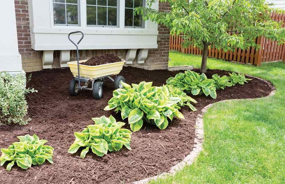 Compromise in the garden